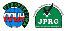 logo podwójne